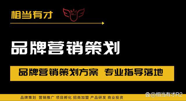 淘宝网店推广策划书_营销全渠道推广策划撰写_对外推广营销策划书