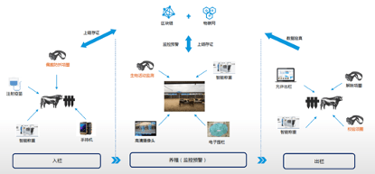 关键词里看中国：财经热词背后的中国经济真相_互联网产品关键词_哪些关键技术是属于物联网